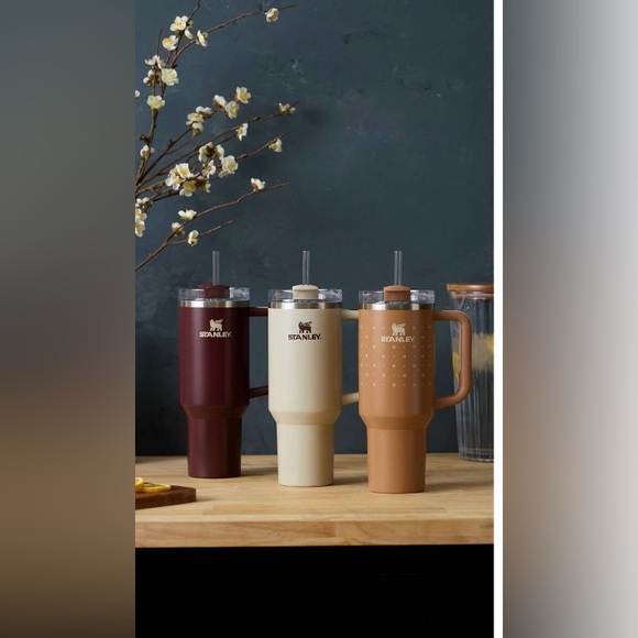 Stanley 40 oz Stainless Steel H2.0 FlowState Quencher Tumbler ✨Deep Clay Orange - Picture 5 of 12